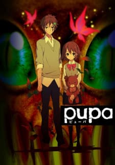 Pupaposter