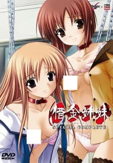 Shakkin Shimaiposter