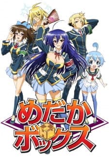 Medaka Boxposter