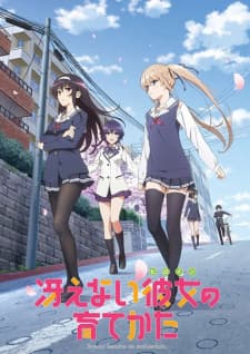 Saenai Heroine no Sodatekataposter