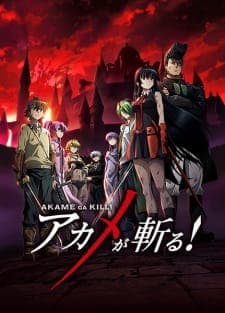 Akame ga Kill!poster