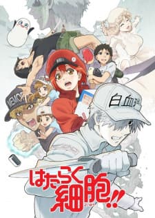 Hataraku Saibou!!poster