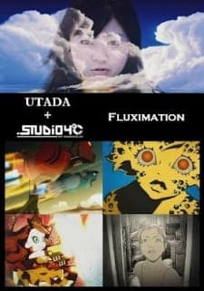 Fluximationposter