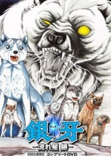 Ginga Nagareboshi Ginposter