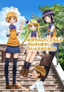 Oniichan no Koto nanka Zenzen Suki ja Nai n da kara ne!!poster