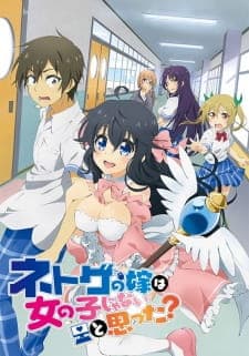 Netoge no Yome wa Onnanoko ja Nai to Omotta?poster