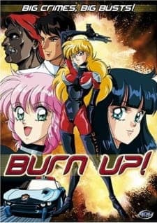 Burn Up!poster