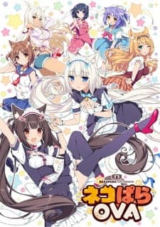 Nekopara OVAposter